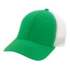 Kelly Green / White