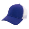 Royal / White