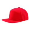 Cardinal