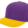 Yellow / Purple