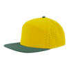 Yellow / Green